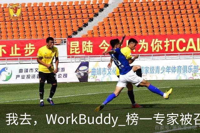 我去，WorkBuddy 榜一专家被召唤千万次，居然还有人一次都没用过？